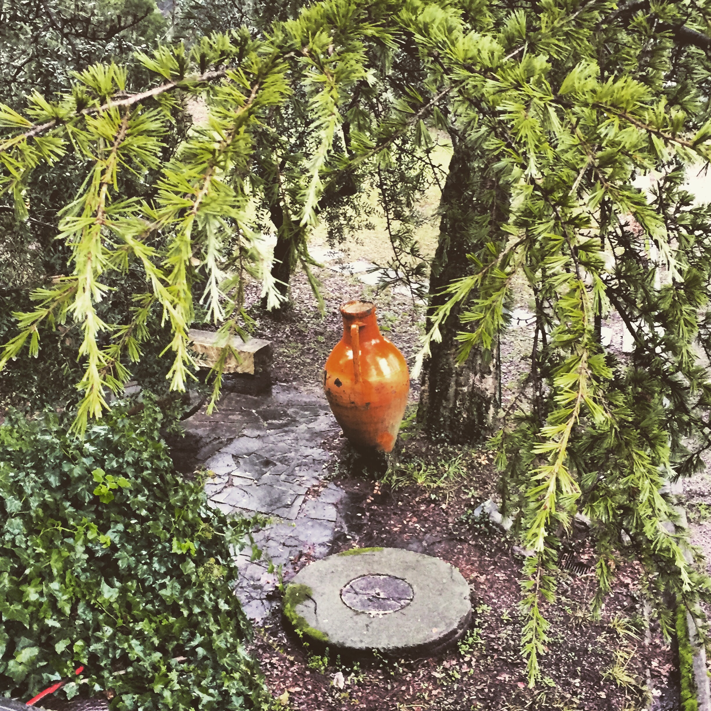 in the garden foundation